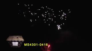 MS4301 0416