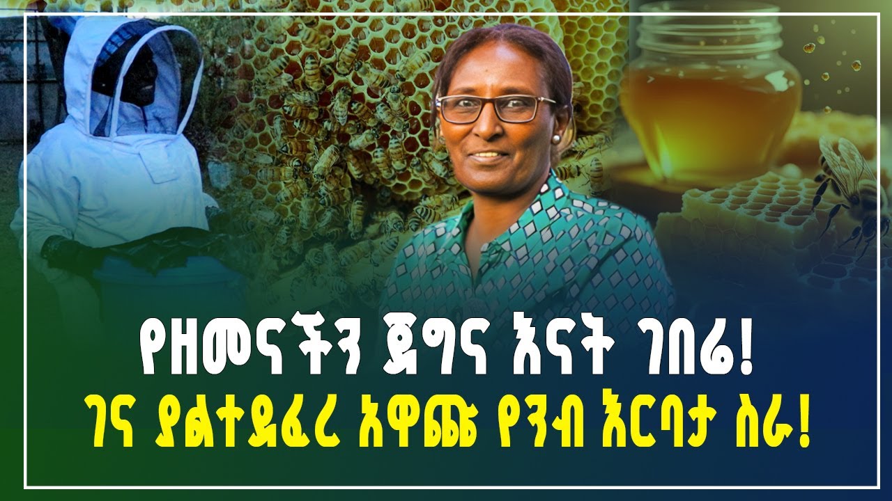 የዘመናችን ጀግና እናት ገበሬ! በኢትዮጵያ ገና ያልተሰራው የንብ እርባታ ስራ! | አዋጭ ስራ ! | beekeeping work | Gebeya Business 
