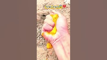 شوف نهاية 😰💔 #quran #اكسبلور #دويتو #النظافه #duet #عبدالرحمن_مسعد_تلاوة_جديدة #لايك #تصويري #الرحمن