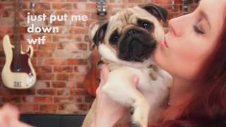PUG DATE! - Update on Roxy the Pug