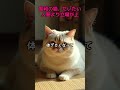 昭和の猫はだいたい人間より立場が上 #昭和 #猫