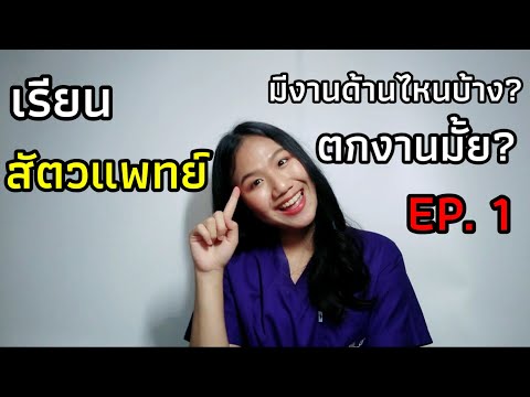 วีดีโอ: สัตวแพทย์หญิงทำงานอย่างไร?