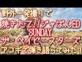 【SUNDAY / ザ・ベイビースターズ】弾き語りカバー@江戸川 / 丸山詩乃【焼きたて!!ジャぱん ED】