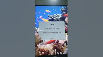 Holy Quran | قران مقدس | سوره هود | Hud 88 #allah #holyquran #islam