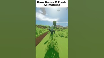 Minecraft Bare Bones X Fresh Animations