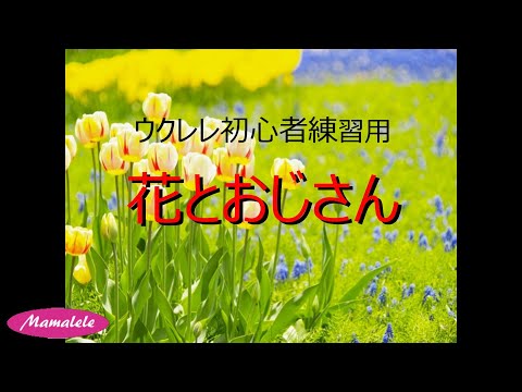 ウクレレ初心者練習用　花とおじさん