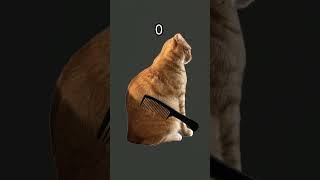 IDK