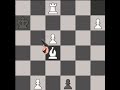 Brilliant Chase #chess #brilliantmove #fidecandidates