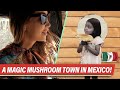 San Jose Del Pacifico - Mexico's Magic Mushroom town!