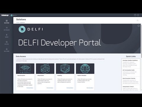 DELFI Dev Portal