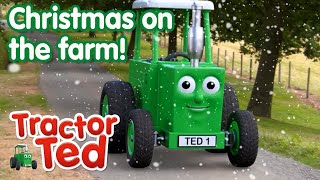 Christmas On The Farm 🎄 | Tractor Ted Clips | Tractor Ted Official Channel