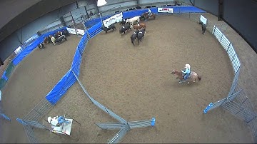 Big Sky Ranch Sorting Saddle Series #6 - #8 HC Ranch Hand - Round #1 - Ride #22