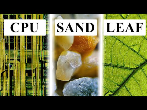 Top 5 Objects Under The Microscope!