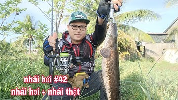 Câu Cá Lóc Bằng Nhái Hơi  P42 / Câu Cá Lóc Bằng Nhái Thật. Nhái Hơi Nhạy Nhất| Đại Ngáo Vlog