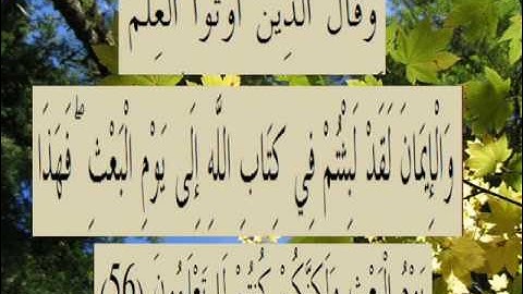 القران الكريم سورة الروم الأية 56.wmv