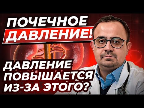 Почечное давление. Почему возникает? И как с этим бороться?