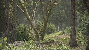 Forest 3Ds max Corona Renderer