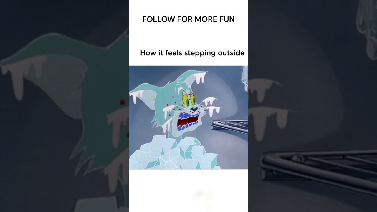 Meme Madness Unleashed: Laughter Galore! 