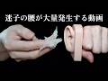 Tingles Guaranteed ASMR | Deep Ear Cleaning with Vaseline (No Talking)
