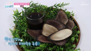 뇌 발달 및 면역력 향상에 GOOD~! [굿모닝 정보세상] 235회  20200703