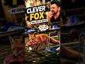 FOX STOLE THE MEAT! 🥩 🦊🤣🤣 #funny #fox #animals #mreqsan #comedy #shorts