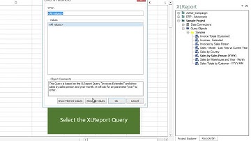XLReport Parameter Queries