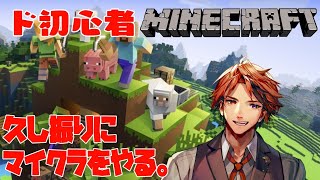 【Minecraft】深夜にまったりド初心者がマイクラをやったらこうなるってのをお見せしましょう【ホロスターズ/夕刻ロベル】