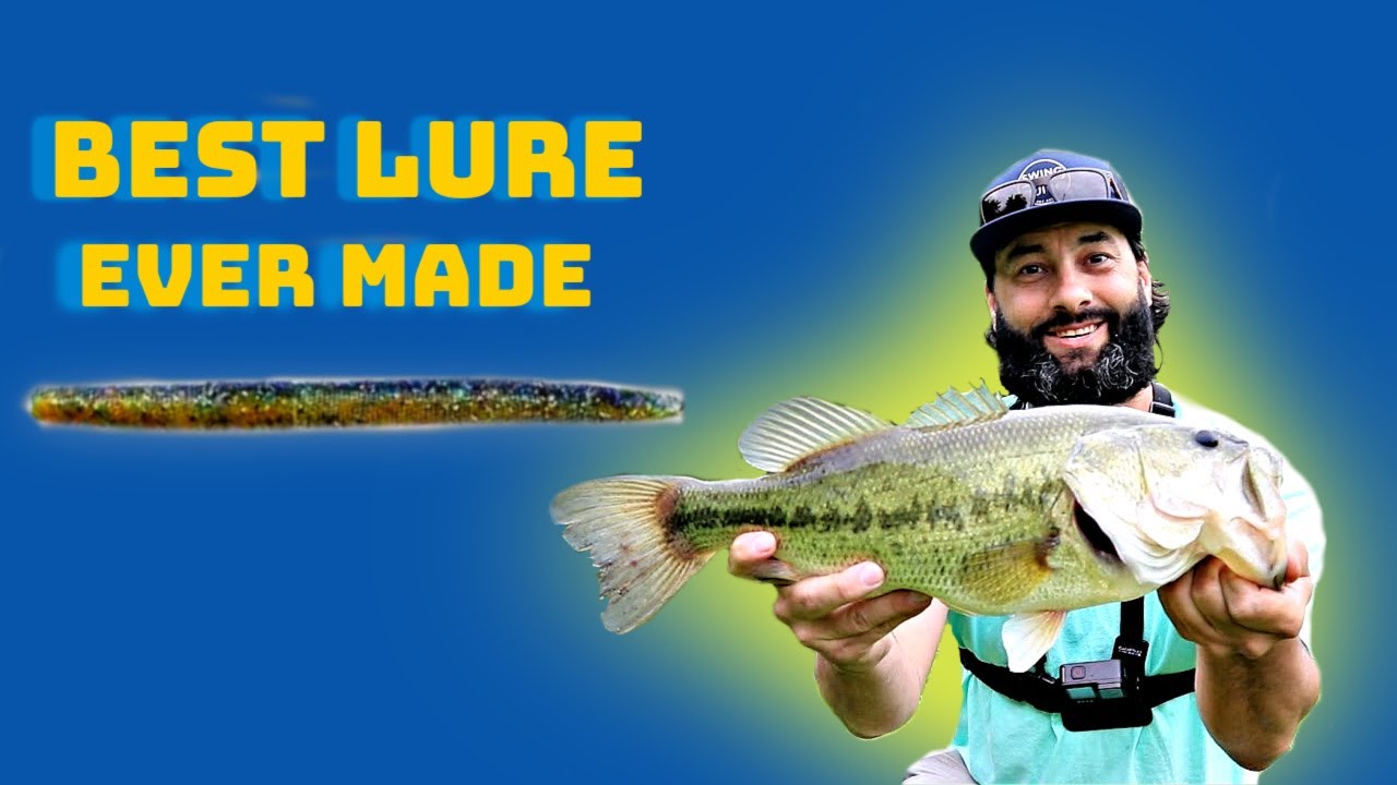 WHY IS THE SENKO THE BEST FISHING LURE EVER MADE / Surprising Big Fish