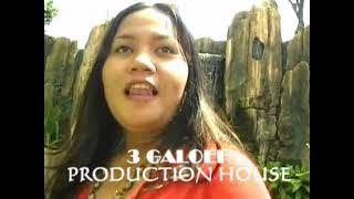 JUMBATAN BARITO    Ciptaan : AGUS KIFLY RUSYAD