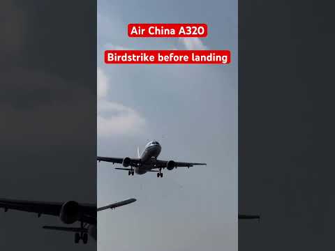 Air China A320