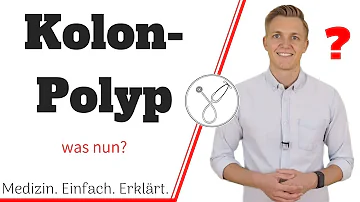 Was ist ein Polyp im Meer?