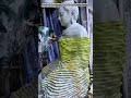 Precision Stone Engraving Process : Ultra Smooth Statue Formation