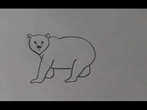 Как нарисовать карандашом белого медведя