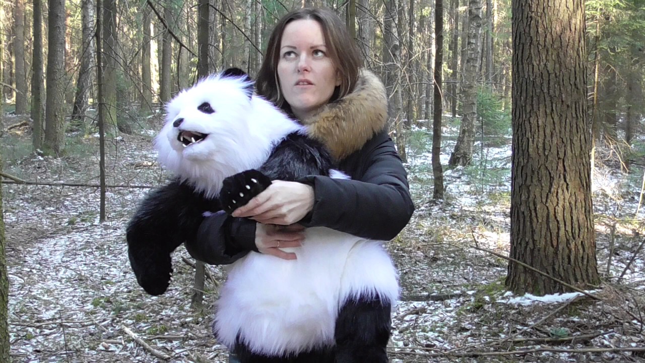 Панда катюша новое видео. Катя лейт Панда.