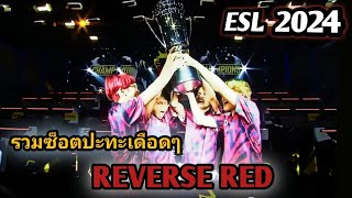 รวมซ็อต(รีเเอค) REVERSE RED ในรายการ Snapdragon Mobile Masters 2024