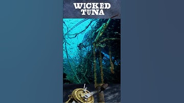 Pinwheel Shipwreck Fishing- Wicked Tuna #shorts #wickedtuna #fishing #fishinglife #shipwreck