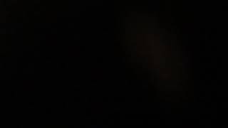 Bart Bash (2013 Lenstar Productions game music): Level 13