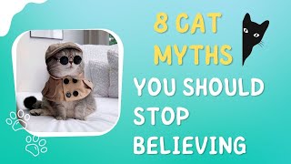8 Cat Myths You Should Stop Believing!