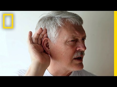 Take the High-Frequency Hearing Test | Brain Games