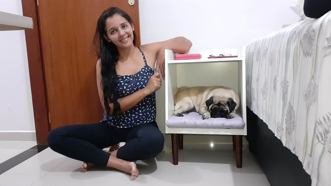 💡TUTORIAL ANIMAIS 3D GOOGLE 🤩 🦈 nadando no quarto, 🐴 passeando na  cozinha, 🐆 na sala, 🐐 sobre a mesa, 🦔 caminhando na sua cama Quer ver  isso tudo e