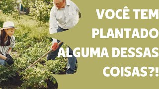 Voc Colhe O Que Planta  Lei Da Semeadura reflexo