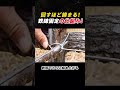 回すほど締まる！ 鉄線固定の仕組み！ #DIY #結束技術 #鉄線 #工具テクニック #ライフハック