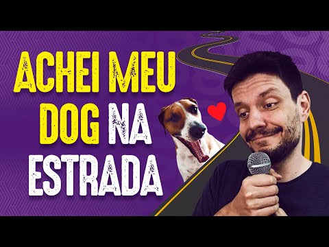 Vídeo: Adote Um Cachorro