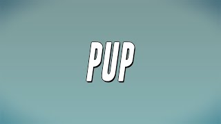 DD Osama - Pup ft. Luh Tyler (Lyrics)