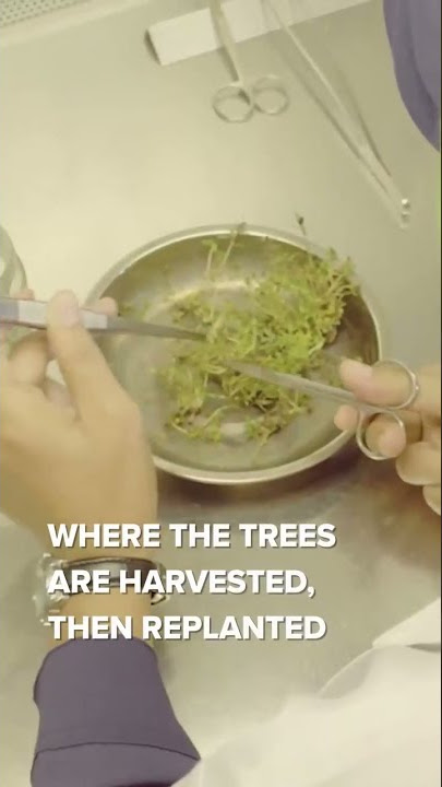 Foopak: Better Choice for Better Future