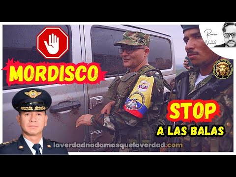 🛑 STOP A LAS BALAS