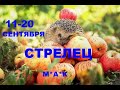 СТРЕЛЕЦ ♐ ЛЮБОВЬ-- ПРЯМО НА КАЧЕЛЯХ!!! 11-20 Сентября. М*А* К