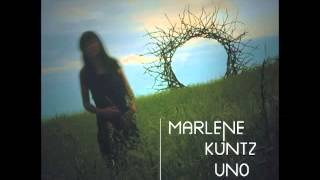 Video thumbnail of "Marlene Kuntz - Sapore di miele"