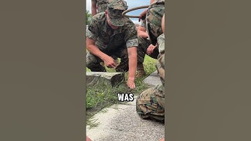 Thumbnail of Soldiers vs Fire Ants ?❗#shorts