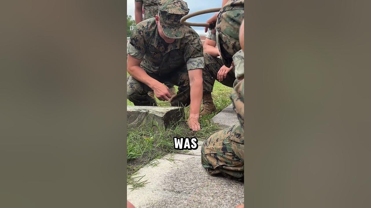Soldiers vs Fire Ants ?❗#shorts